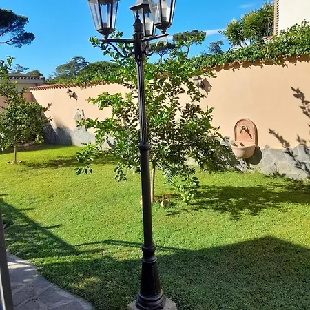 Vittorio