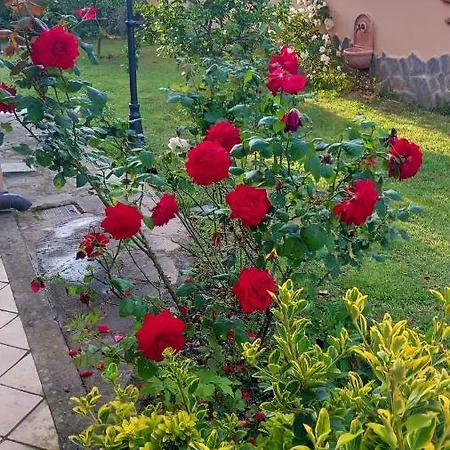 Apartamento Vittorio *