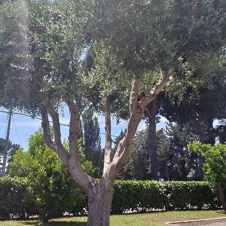Vittorio